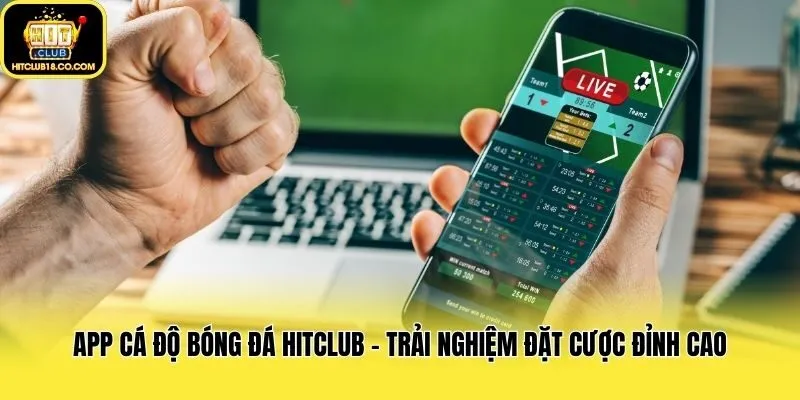 App Cá Độ Bóng Đá Hitclub - Trải Nghiệm Đặt Cược Đỉnh Cao