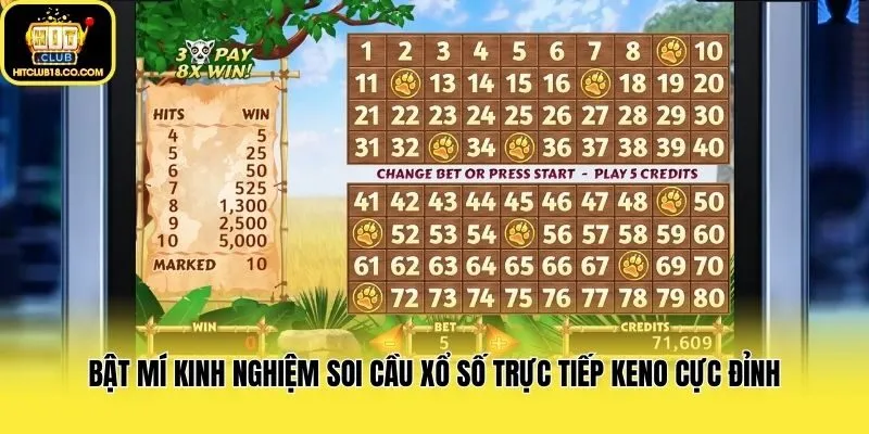 Bật mí kinh nghiệm soi cầu xổ số trực tiếp Keno cực đỉnh