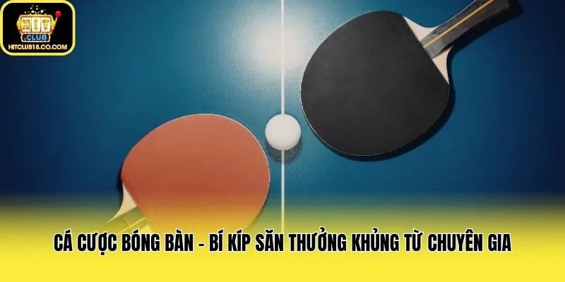 Cá Cược Bóng Bàn - Bí Kíp Săn Thưởng Khủng Từ Chuyên Gia