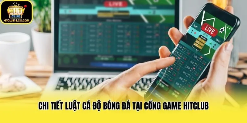 Chi tiết luật cá độ bóng đá tại cổng game Hitclub