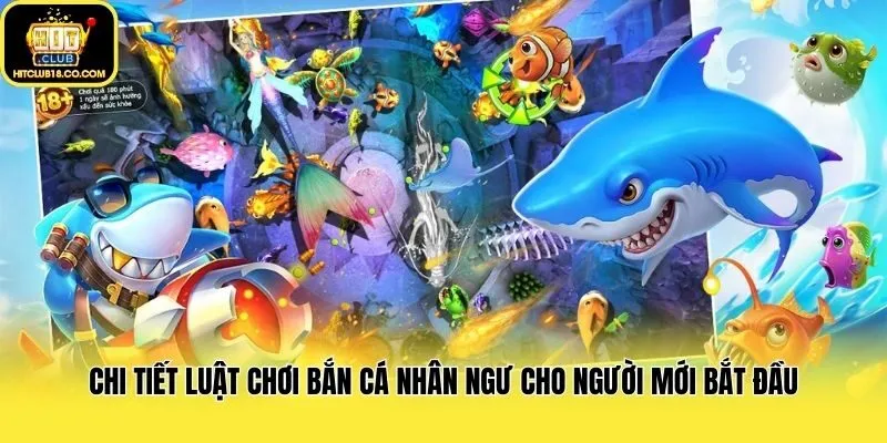 Chi tiết luật chơi bắn cá nhân ngư cho người mới bắt đầu