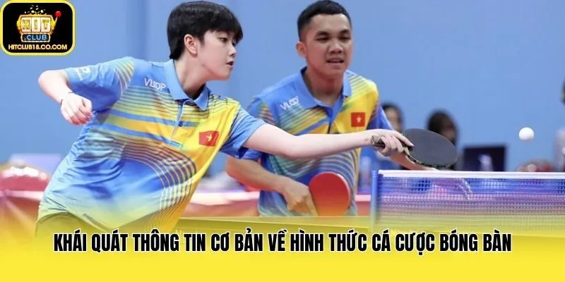Khái quát thông tin cơ bản về hình thức cá cược bóng bàn