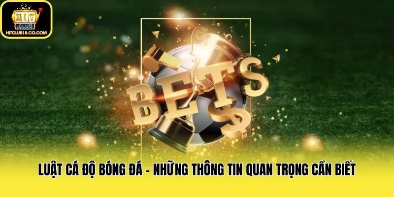 Luật Cá Độ Bóng Đá - Những Thông Tin Quan Trọng Cần Biết