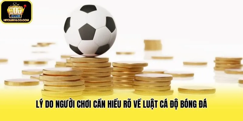 Lý do người chơi cần hiểu rõ về luật cá độ bóng đá