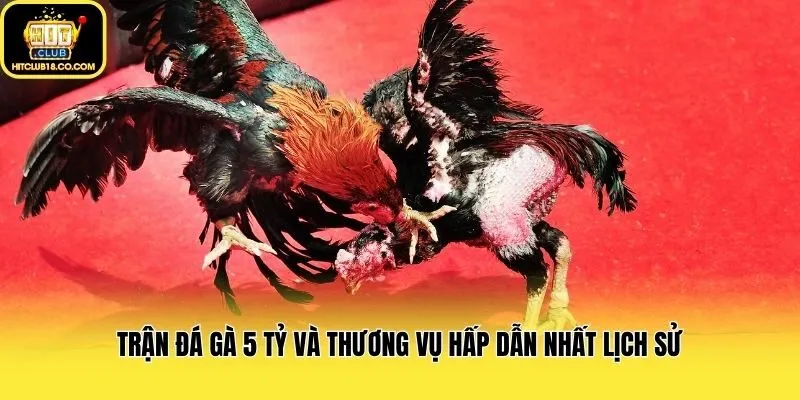 Trận đá gà 5 tỷ và thương vụ hấp dẫn nhất lịch sử